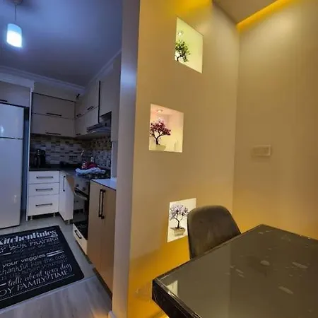 Luxury 2 Plus1 With Free Parking And Pool Istanbul
