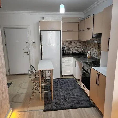 Luxury 2 Plus1 With Free Parking And Pool Apartment